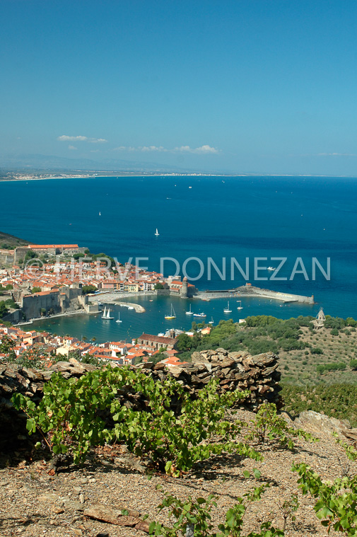 2594_33392_COLLIOURE