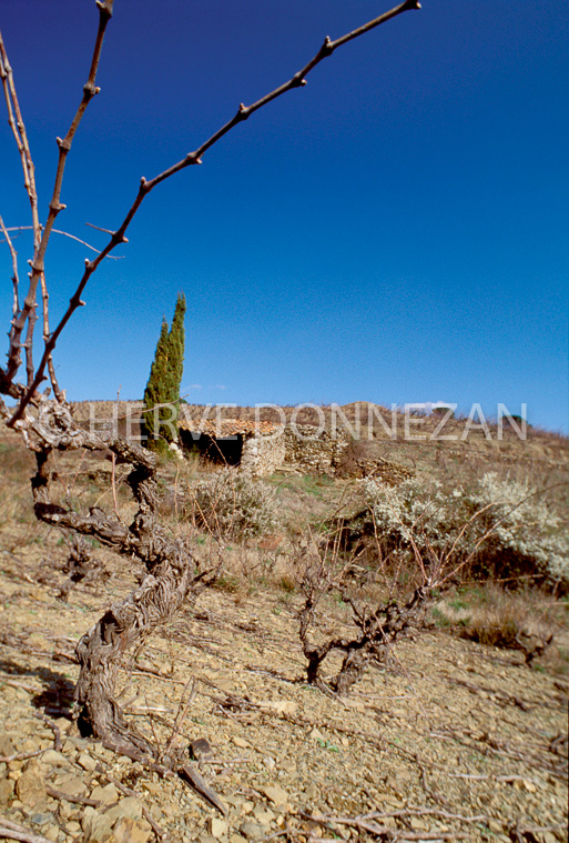 2660_21616_CASOT_CORBIERES_