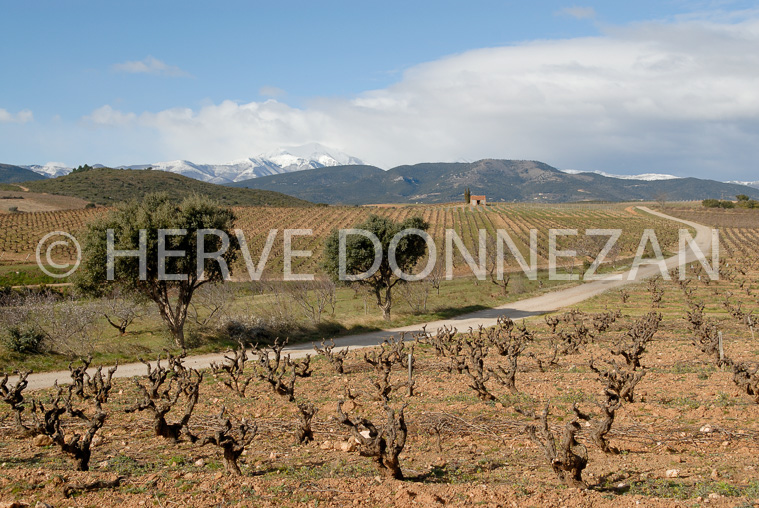 2679_46218_CANIGOU_CASOT_VIGN