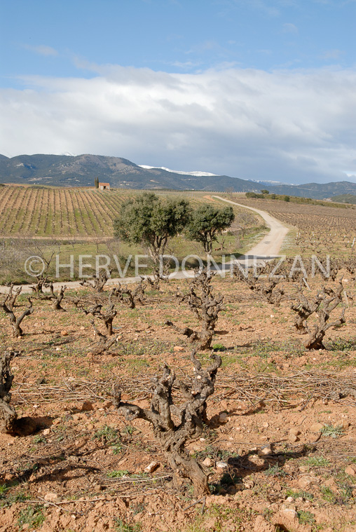 2680_46221_VIGNES_CASO