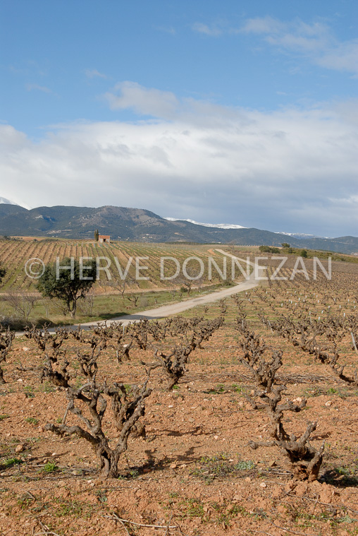2681_46231_VIGNES_CASOT