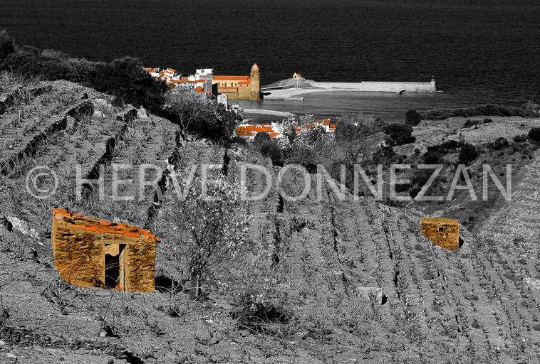 2947_63621_COLLIOURE_