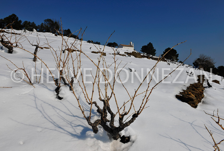 3063_1956_BANYULS_SALETTE