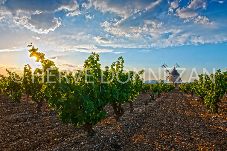 4507_0348_MOULIN_CLAIRA